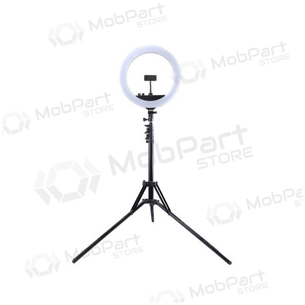 LED žiedinė lámpara 34.5cm, su trikoju stovu iki 1.85m, veidrodžiu y telefono laikikliu, USB LED žiedinė lámpara 34.5cm, su trikoju stovu iki 1.85m, veidrodžiu y telefono laikikliu, USB