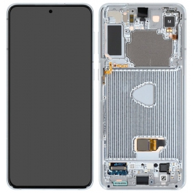 Samsung Galaxy S21+ pantalla (plata) (con un marco) (original)