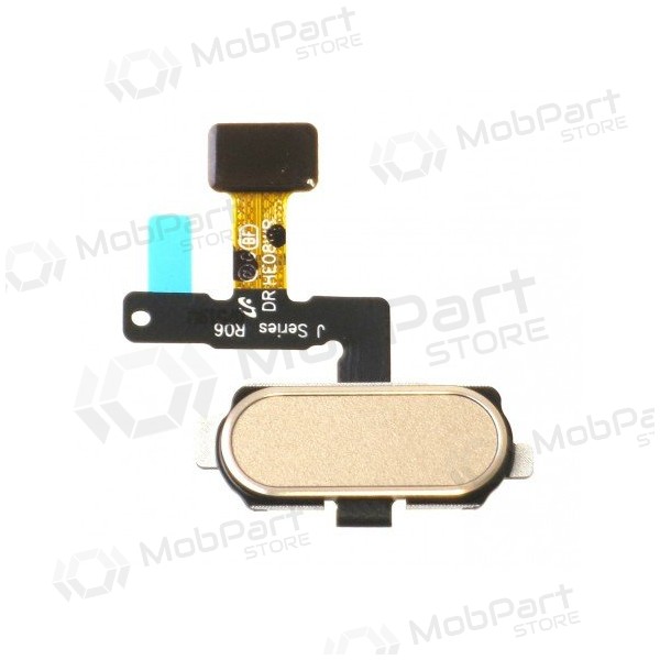 Samsung J530F Galaxy J5 (2017) / J730F Galaxy J7 (2017) Conector del botón de HOME (dorado)