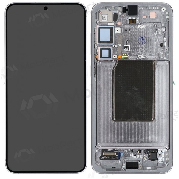 Pantalla para Samsung Galaxy S25+ (plateado) (con marco) (assembled service pack)